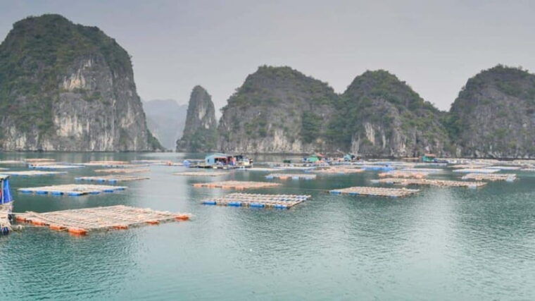 savor-cat-ba-island-adventure-2-days-1-night