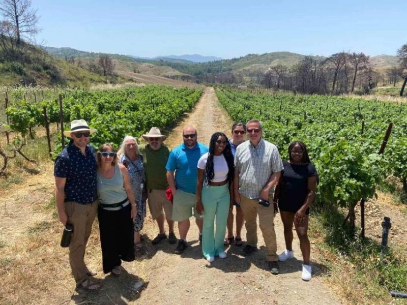 savor-rhodes-11-dish-wine-pairing-and-cooking-adventure