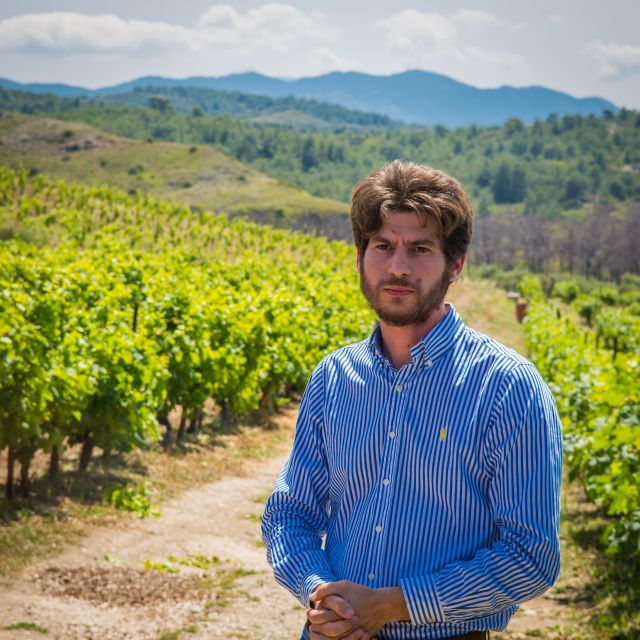 savor-rhodes-11-dish-wine-pairing-and-cooking-adventure