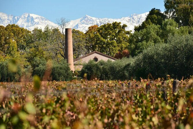 savoring-lujan-de-cuyo-a-culinary-and-wine-exploration