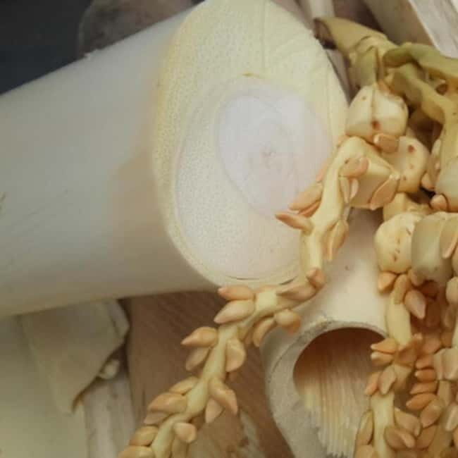 Savouring Madurai: Private Street Food Tour of Madurai ! - Why Choose This Tour?