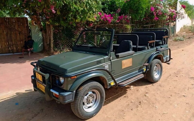 Sawai Madhopur: Ranthambore National Park Guided Jeep Safari - Who Would Enjoy This Safari?