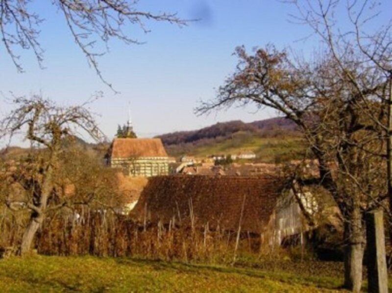 saxon-secrets-the-malancrav-biertan-experience-2
