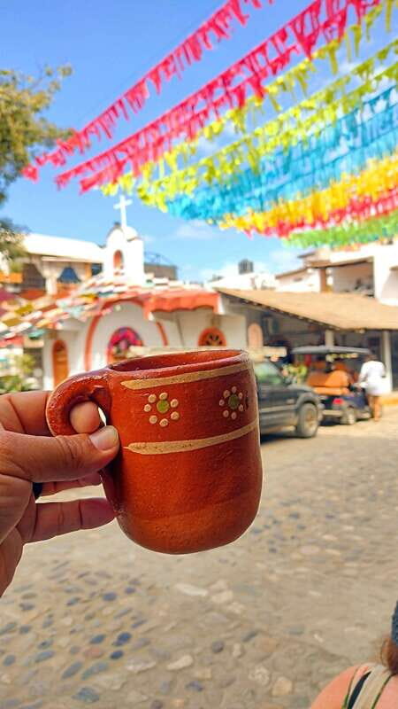 Sayulita: Guided Tour, Cacao Tasting, and Food Tour - Who Is This Tour For?