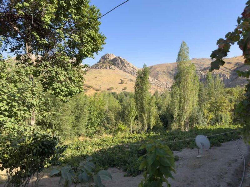 Sayyod Village 2-Day Tour: Cooking Class & Hiking Experience - An Authentic Uzbek Escape in Sayyod