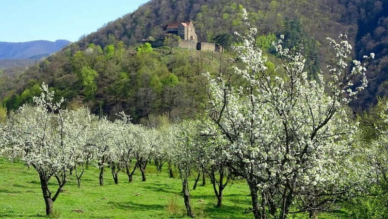SB13 - Sibiu: Private Day Trip to Transylvanian Villages - Key Points