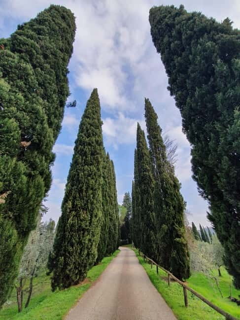 Scandicci: Bellavista Wine Tasting Experience - Key Points