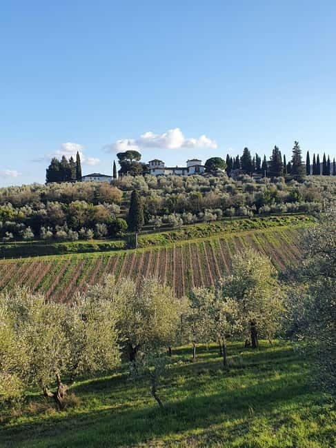 Scandicci: Bellavista Wine Tasting Experience - The Experience in Detail