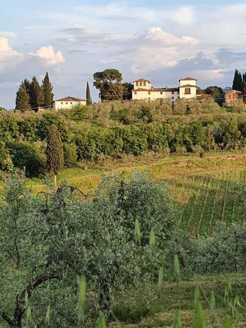 Scandicci: Bellavista Wine Tasting Experience - Who Should Consider This Tour?