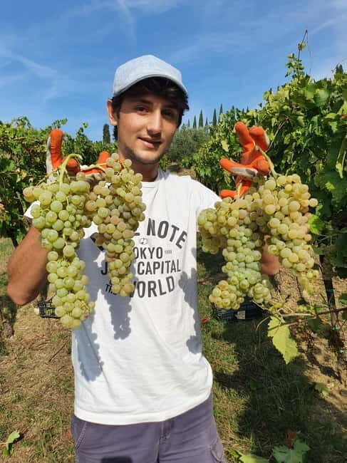 Scandicci: Bellavista Wine Tasting Experience - Frequently Asked Questions