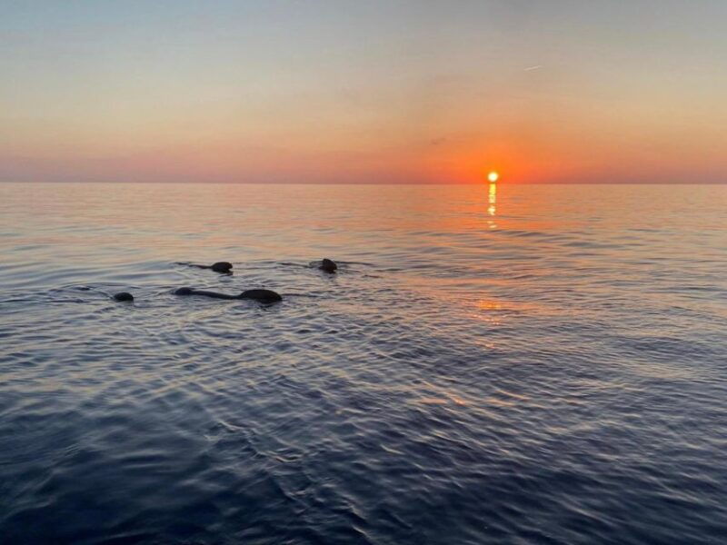 scandola-girolata-return-at-sunset