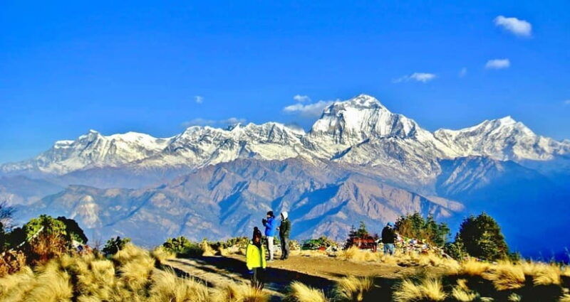 scenic-adventure-group-joining-3-day-poon-hill-trek-tour