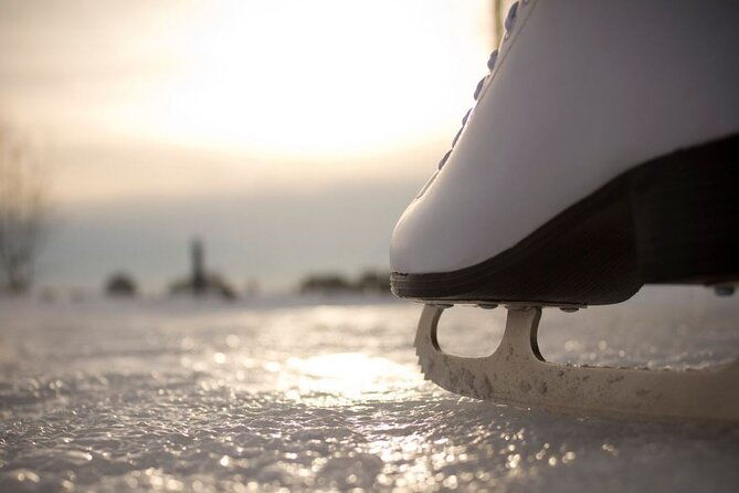scenic-anchorage-ice-skating-and-picnic-experience