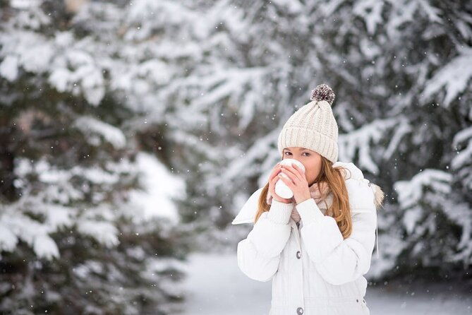 scenic-anchorage-ice-skating-and-picnic-experience
