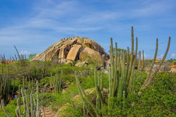 scenic-aruba-self-guided-driving-and-walking-audio-tour