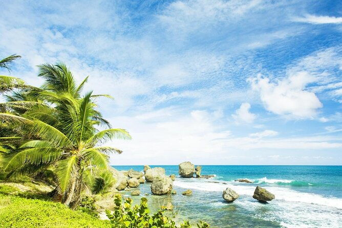 scenic-barbados-coast-to-coast-half-day-tour