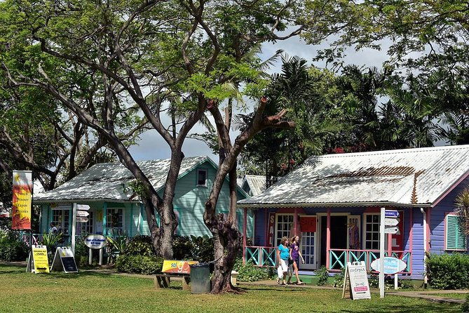 scenic-barbados-coast-to-coast-half-day-tour