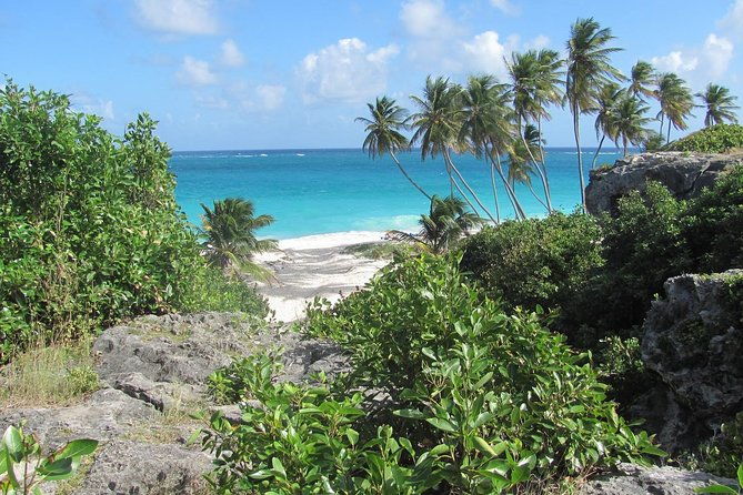 scenic-barbados-coast-to-coast-half-day-tour