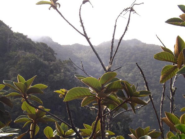 scenic-blue-mountain-hike-from-kingston