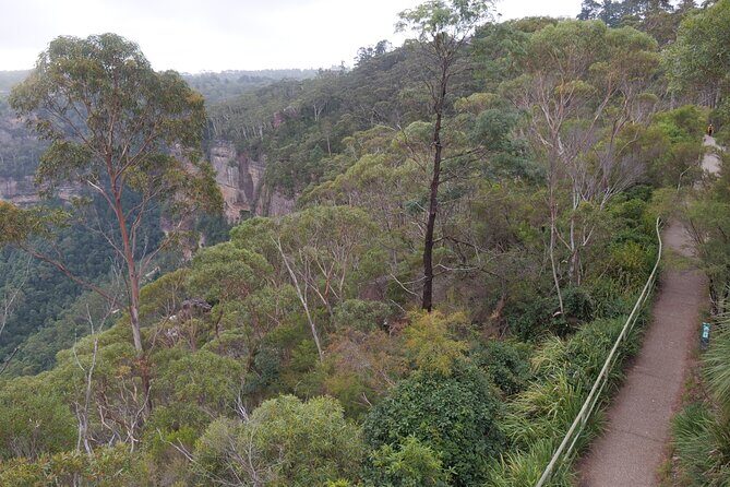 Scenic Blue Mountains 2-Day Shared Tour - Value for Money and Practical Considerations