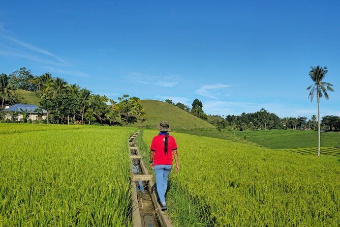 Scenic Bohol Candijay Tour with Private Driver-Guide - Who Will Love This Tour?