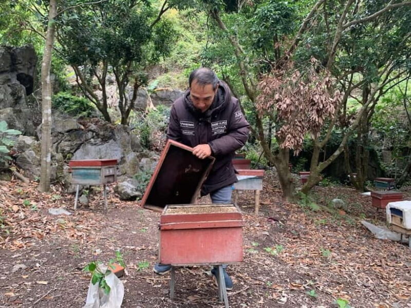 Scenic Cycling Loop Of Enchanting Cat Ba Island full day - An In-Depth Look at the Cat Ba Island Cycling Tour