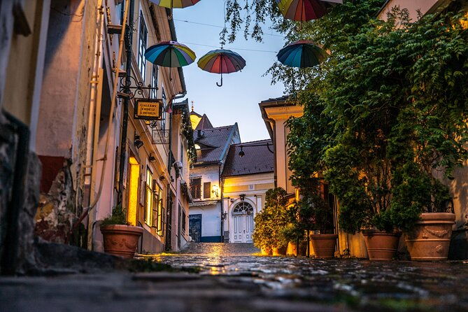 scenic-danube-river-bend-hills-the-art-town-private-car-tour