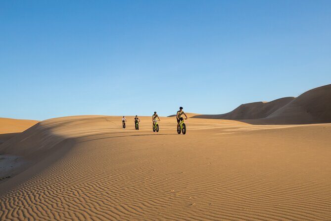 Scenic Desert Tour by Bike - The Sum Up  