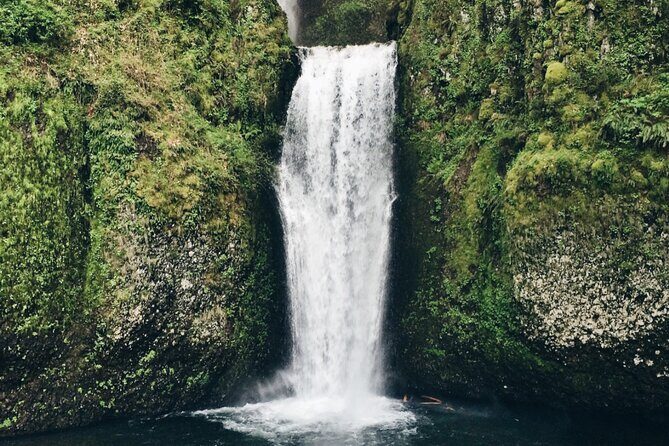 Scenic Drive and Cruise from Queenstown to Milford Sound - Final Thoughts