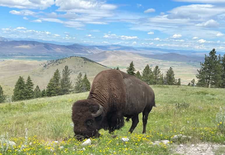 scenic-driving-tour-flathead-lake-and-bison-range
