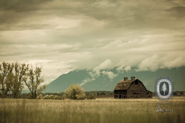 scenic-driving-tour-flathead-lake-and-bison-range