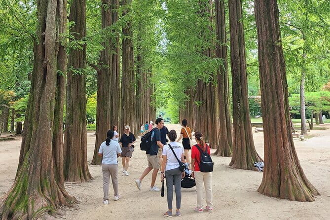 Scenic Escape: Nami Island, Garden of Morning Calm, and Rail Bike - Key Points