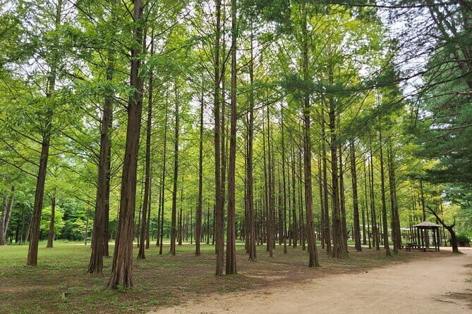 Scenic Escape: Nami Island, Garden of Morning Calm, and Rail Bike - Exploring the Itinerary in Detail