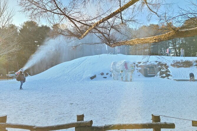 Scenic Escape: Nami Island, Garden of Morning Calm, and Rail Bike - Who Is This Tour Best For?
