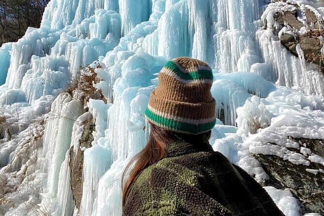 Scenic Escape: Nami Island, Garden of Morning Calm, and Rail Bike - FAQ