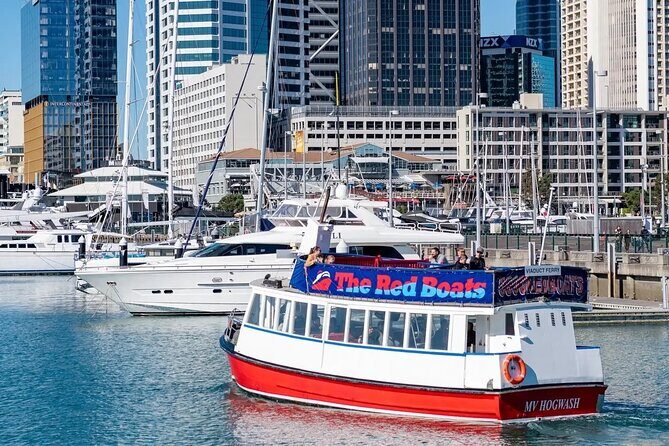 Scenic Harbour Cruise in Auckland - An In-Depth Look at the Auckland Harbour Scenic Cruise  