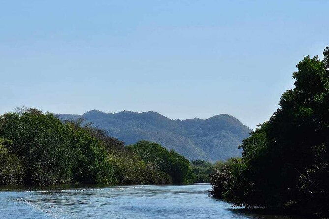 scenic-historical-nature-boat-safari-up-the-negril-river