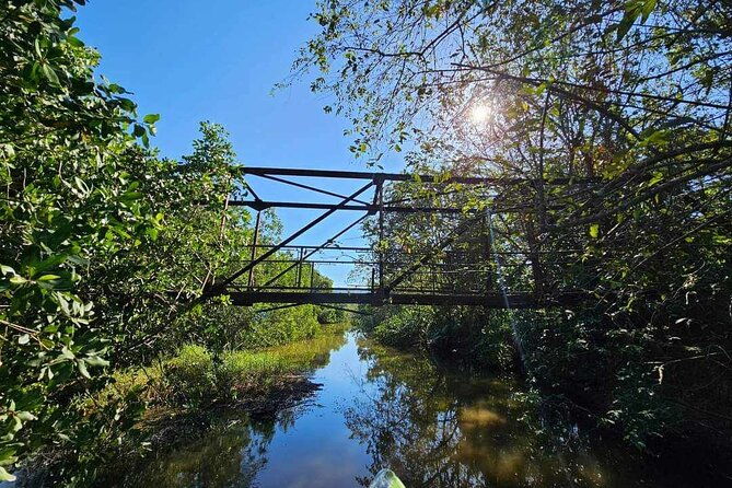 scenic-historical-nature-boat-safari-up-the-negril-river