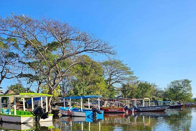 scenic-historical-nature-boat-safari-up-the-negril-river