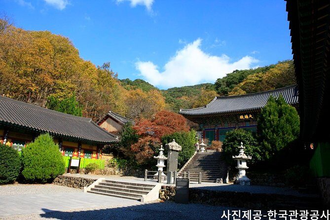 Scenic Jiri Mountain Autumn Foliage One Day Tour from Busan - Why Choose This Tour?