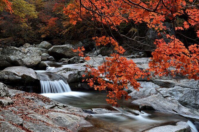 Scenic Jiri Mountain Autumn Foliage One Day Tour from Busan - Transportation & Group Size
