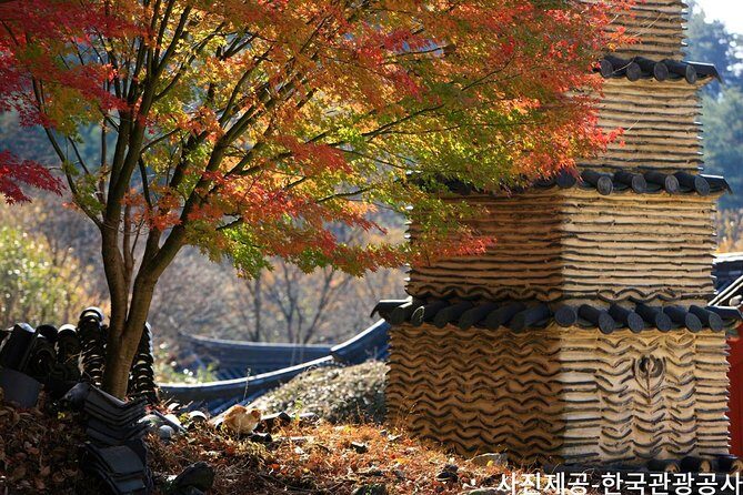 Scenic Jiri Mountain Autumn Foliage One Day Tour from Busan - Authentic Experience and Tips