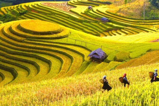 Scenic Mai Chau Full Day Group Tour - Final Thoughts