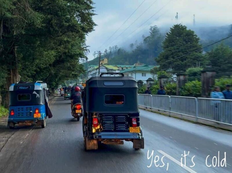 Scenic Nuwara Eliya Tuk Tuk Adventure - An In-Depth Look at the Nuwara Eliya Tuk Tuk Adventure