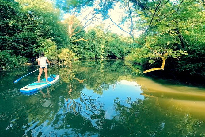 scenic-paddleboarding-adventure-nove-mlyny-to-lednice