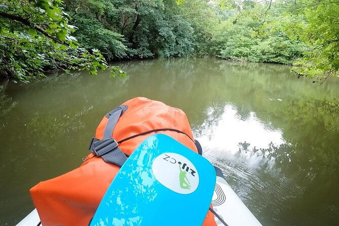 scenic-paddleboarding-adventure-nove-mlyny-to-lednice