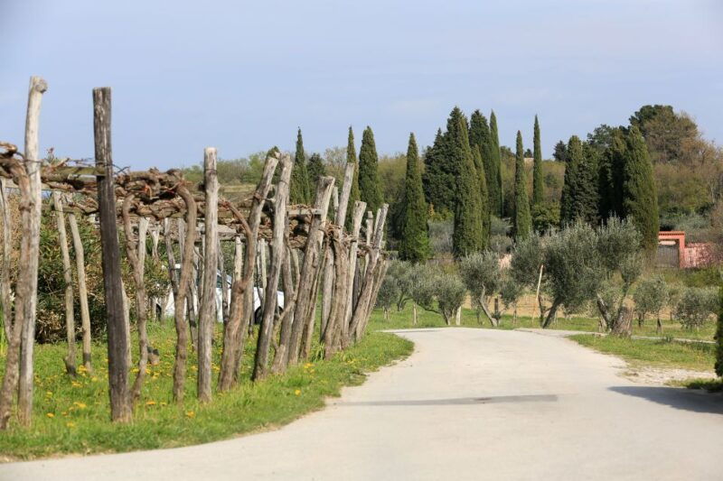scenic-piran-parks-boutique-tour-stunning-views
