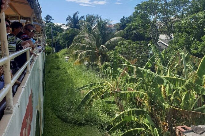 scenic-railway-sugar-train-ride