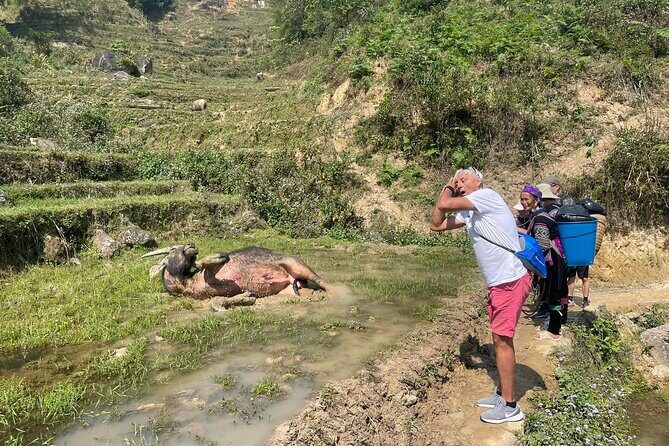 Scenic Sapa Trek: Explore Rice Terraces, Ethnic Minority Villages - The Sum Up