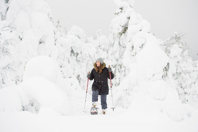 scenic-snowshoeing-on-the-top-of-pyha-fell-2